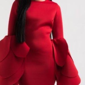 Red Tulip Sleeve Dress